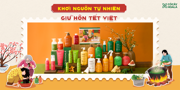 3 Set Quà Tết Best Seller Cỏ Cây Hoa Lá 2026