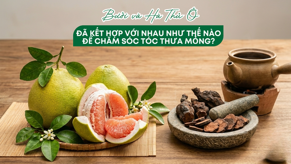 Hà Thủ Ô và Bưởi kết hợp với nhau như thế nào trong chăm sóc tóc thưa mỏng?
