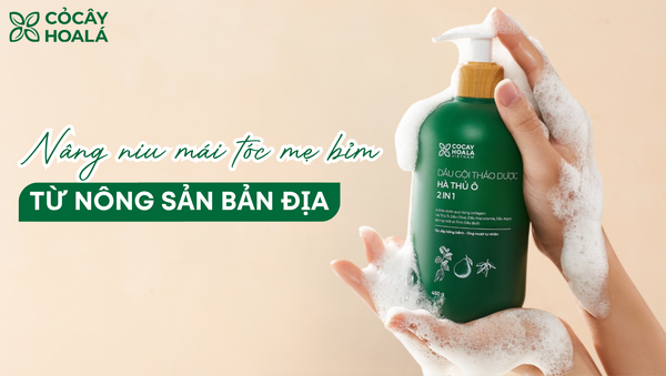 Nâng niu mái tóc của mẹ bỉm bằng sản phẩm từ nông sản bản địa