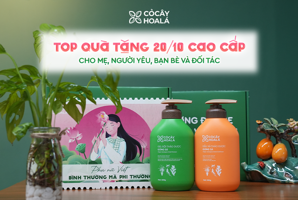 Top quà tặng 20/10 cao cấp cho mẹ, người yêu, bạn bè và đối tác