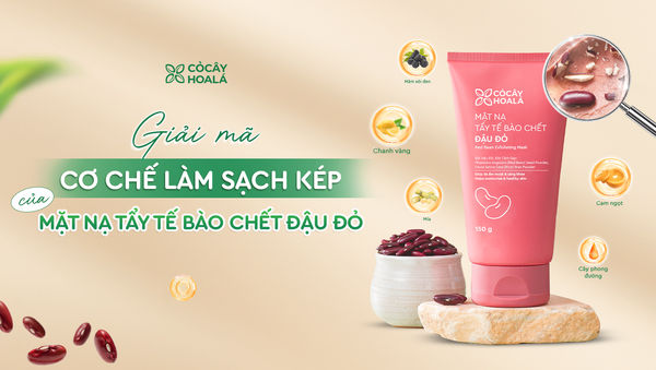Giải mã cơ chế làm sạch kép trong Mặt Nạ Tẩy Tế Bào Chết Đậu Đỏ - Sự kết hợp độc đáo giúp tối ưu hiệu quả làm sạch trên da