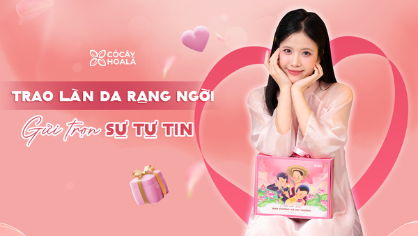 Các set quà chăm da Cỏ Cây Hoa Lá dành tặng người phụ nữ đặc biệt