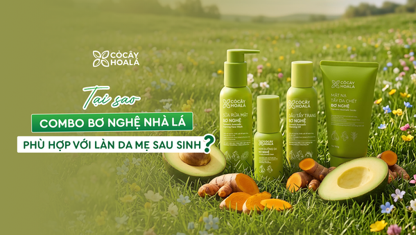 Tại Sao Combo Bơ Nghệ Nhà Lá Phù Hợp Với Làn Da Mẹ Sau Sinh?