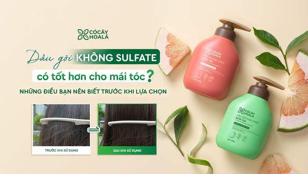 Dầu gội không Sulfate có tốt hơn cho mái tóc? Những điều bạn nên biết trước khi lựa chọn