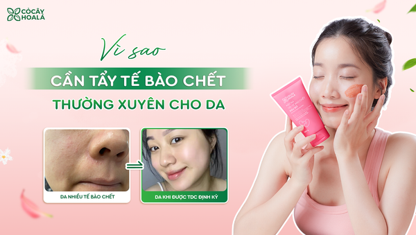 Vì sao cần tẩy tế bào chết thường xuyên? Chìa khóa cho làn da sạch thoáng, mịn màng