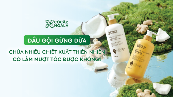 Dầu gội Gừng Dừa chứa nhiều chiết xuất thiên nhiên có làm mượt tóc được không?