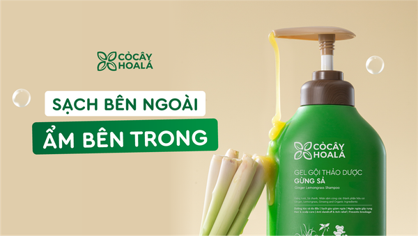 Chiết xuất trái cây trong dầu gội mang lại lợi ích gì cho mái tóc?