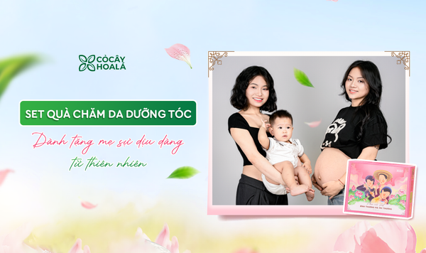 SET QUÀ TẶNG MẸ - MÓN QUÀ CHĂM DA DƯỠNG TÓC NHƯ CÁI ÔM DỊU DÀNG TỪ THIÊN NHIÊN