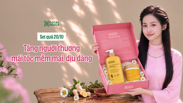Set quà 20/10 “Dịu Dàng” – Gửi yêu thương đến người phụ nữ Việt