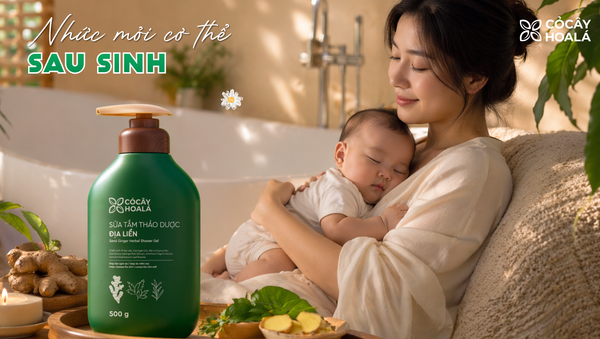 Gừng Và Địa Liền: Nên Chọn Loại Nào Để Chăm Sóc Cơ Thể Khi Căng Mỏi?