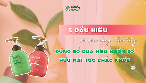 5 dấu hiệu cho thấy da đầu của bạn đang 