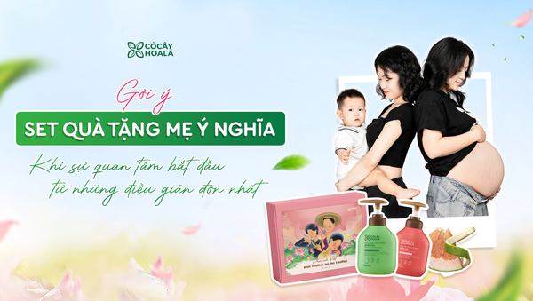 Gợi ý set quà tặng Mẹ ý nghĩa - Dầu gội thảo dược Bưởi Trà: Khi sự quan tâm bắt đầu từ những điều giản đơn nhất.