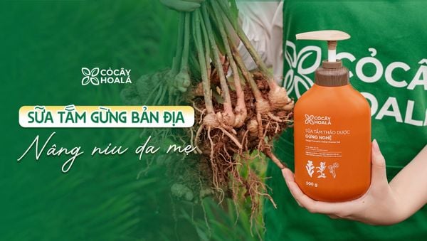 Sữa Tắm Thảo Dược Bản Địa – Nâng Niu Làn Da Mẹ Từ Gừng Sẻ Ta Việt Nam