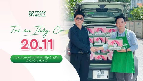 Tri ân thầy cô 20/11: Lựa chọn quà doanh nghiệp ý nghĩa từ Cỏ Cây Hoa Lá