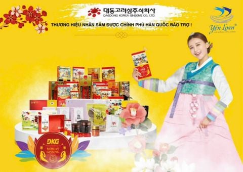 Nhân sâm “nóng” hay “lạnh”? Hiểu lầm phổ biến của nhiều người về loại dược liệu nổi tiếng trong tứ đại danh dược: 