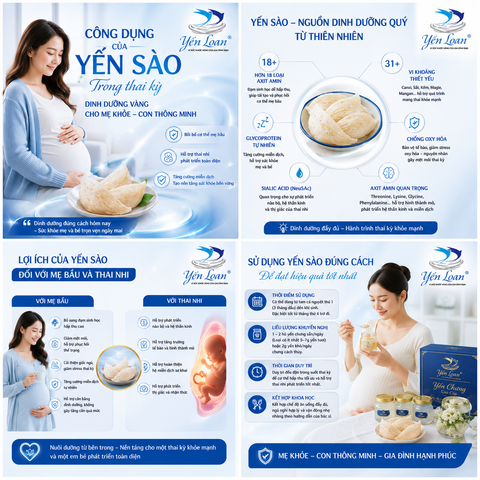 Dinh dưỡng thai kỳ từ tế bào: Bí quyết mẹ khỏe bé khỏe mạnh và thông minh cùng Yến sào!