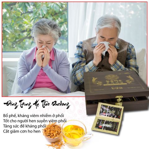 Đông Trùng Hạ Thảo & Yến Sào – Bí Quyết Phòng Tránh Cúm A Hiệu Quả!