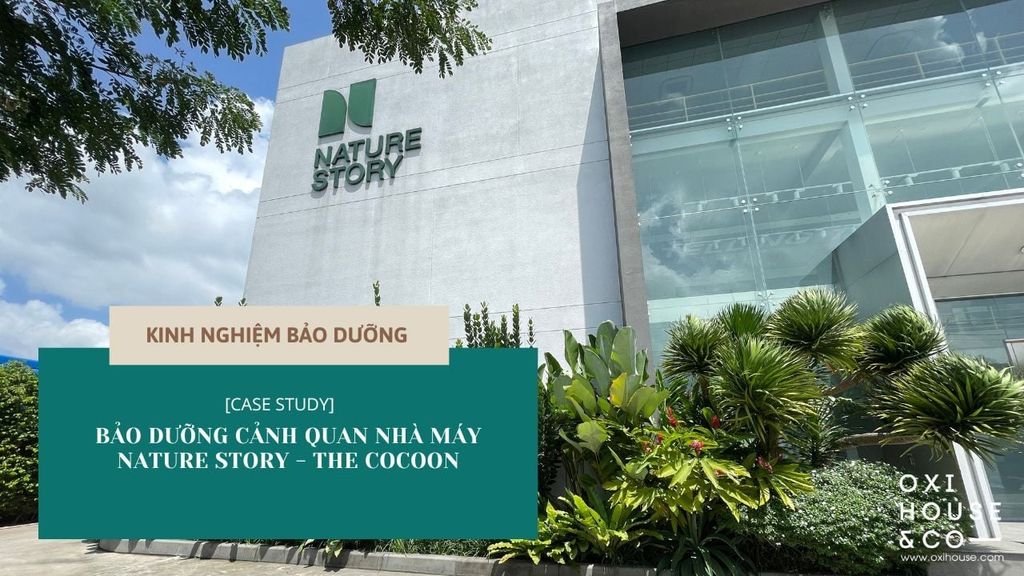 [CASE STUDY] BẢO DƯỠNG CẢNH QUAN NHÀ MÁY NATURE STORY - THE COCOON