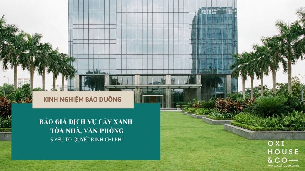 BÁO GIÁ DỊCH VỤ CÂY XANH TÒA NHÀ, VĂN PHÒNG - 5 YẾU TỐ QUYẾT ĐỊNH CHI PHÍ