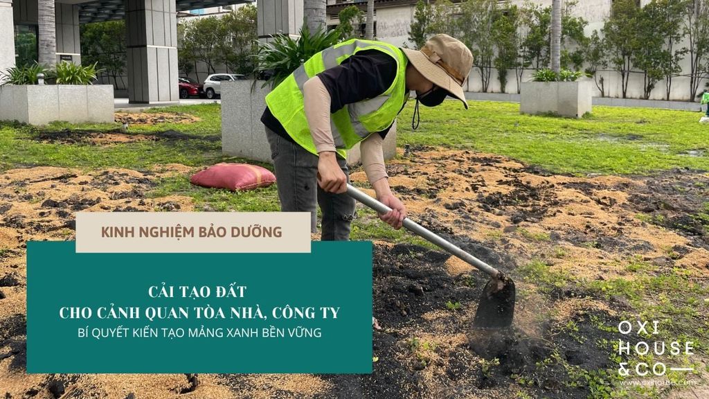 CẢI TẠO ĐẤT CHO CẢNH QUAN TÒA NHÀ, CÔNG TY - BÍ QUYẾT KIẾN TẠO MẢNG XANH BỀN VỮNG