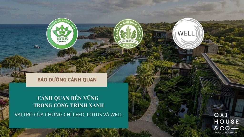 CẢNH QUAN BỀN VỮNG TRONG CÔNG TRÌNH XANH - VAI TRÒ CỦA CHỨNG CHỈ LEED, LOTUS VÀ WELL