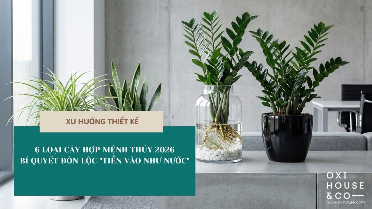 6 LOẠI CÂY HỢP MỆNH THỦY 2026: BÍ QUYẾT ĐÓN LỘC 