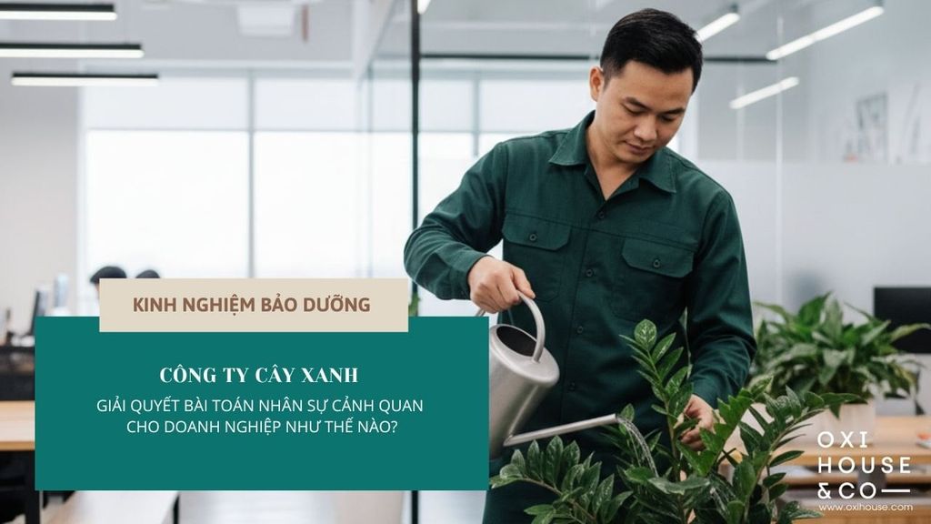 CÔNG TY CÂY XANH GIẢI QUYẾT BÀI TOÁN NHÂN SỰ CẢNH QUAN CHO DOANH NGHIỆP NHƯ THẾ NÀO?