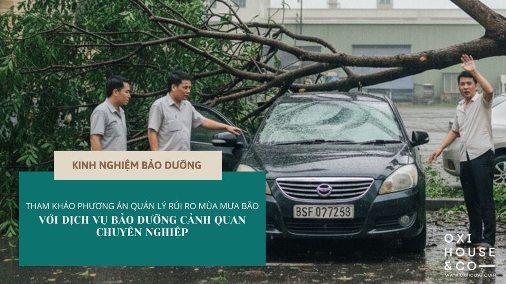 THAM KHẢO PHƯƠNG ÁN QUẢN LÝ RỦI RO MÙA MƯA BÃO VỚI DỊCH VỤ BẢO DƯỠNG CẢNH QUAN CHUYÊN NGHIỆP
