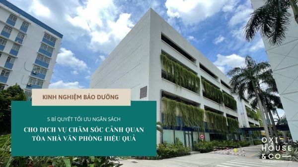 5 BÍ QUYẾT TỐI ƯU NGÂN SÁCH CHO DỊCH VỤ CHĂM SÓC CẢNH QUAN TÒA NHÀ VĂN PHÒNG HIỆU QUẢ