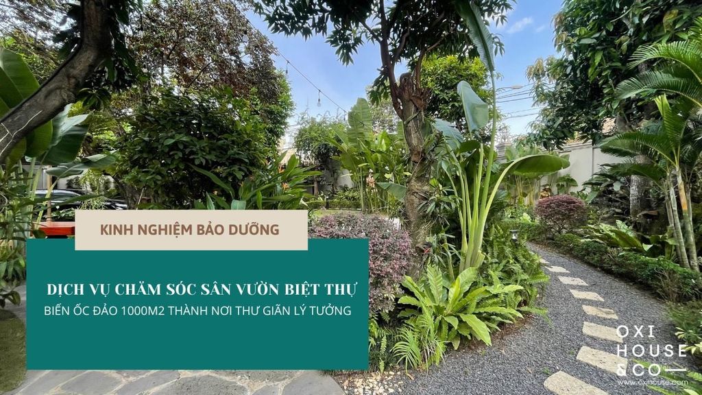 DỊCH VỤ CHĂM SÓC SÂN VƯỜN BIỆT THỰ - BIẾN ỐC ĐẢO 1000M2 THÀNH NƠI THƯ GIÃN LÝ TƯỞNG