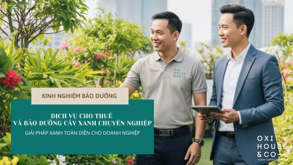 DỊCH VỤ CHO THUÊ VÀ BẢO DƯỠNG CÂY XANH CHUYÊN NGHIỆP - GIẢI PHÁP XANH TOÀN DIỆN CHO DOANH NGHIỆP