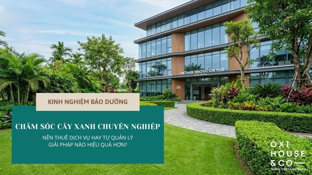 NÊN SỬ DỤNG DỊCH VỤ CHĂM SÓC CÂY XANH CHUYÊN NGHIỆP HAY TỰ QUẢN LÝ: ĐÂU LÀ GIẢI PHÁP HIỆU QUẢ?