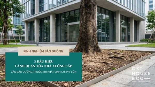 5 DẤU HIỆU CẢNH QUAN TÒA NHÀ VĂN PHÒNG XUỐNG CẤP & CẦN BẢO DƯỠNG NGAY