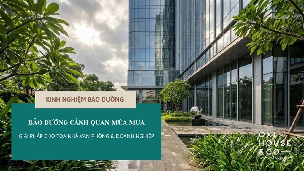 NHỮNG ĐIỀU CẦN LƯU Ý BẢO DƯỠNG CẢNH QUAN TÒA NHÀ VĂN PHÒNG VÀ DOANH NGHIỆP KHI MÙA MƯA TỚI