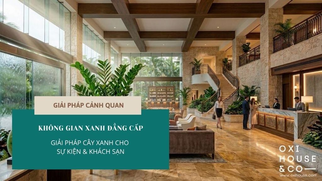GIẢI PHÁP CẢNH QUAN: CHO THUÊ CÂY XANH SỰ KIỆN & TRANG TRÍ CÂY XANH KHÁCH SẠN | OXI HOUSE