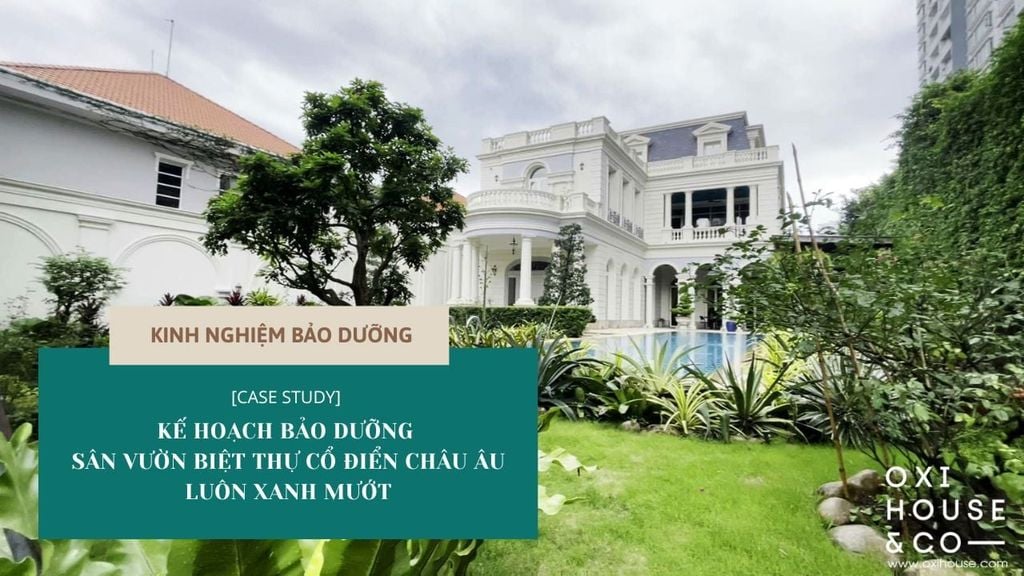 [CASE STUDY] KẾ HOẠCH BẢO DƯỠNG SÂN VƯỜN BIỆT THỰ CỔ ĐIỂN CHÂU ÂU LUÔN XANH MƯỚT