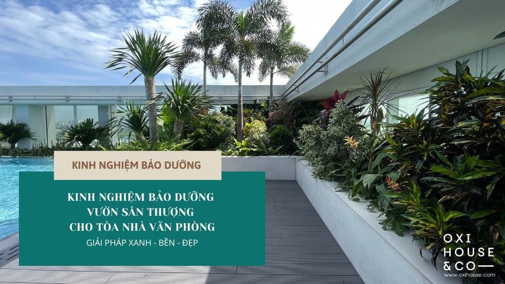 KINH NGHIỆM BẢO DƯỠNG VƯỜN SÂN THƯỢNG CHO TÒA NHÀ VĂN PHÒNG : GIẢI PHÁP XANH - BỀN - ĐẸP