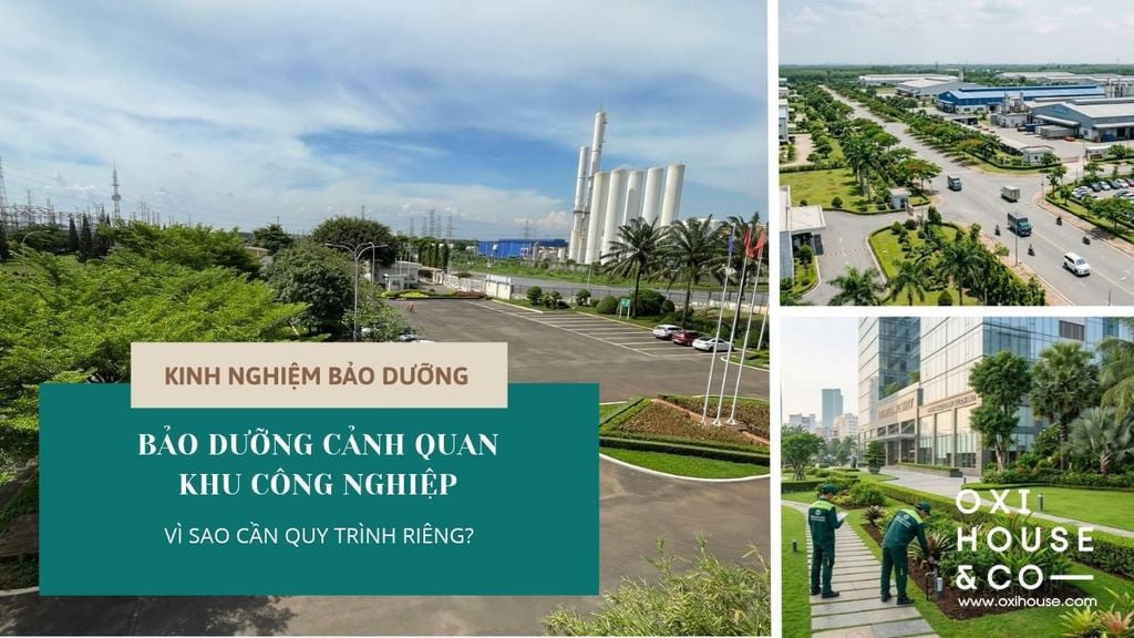 BẢO DƯỠNG CẢNH QUAN KHU CÔNG NGHIỆP: VÌ SAO CẢNH QUAN QUY MÔ LỚN CẦN MỘT QUY TRÌNH KHÁC?