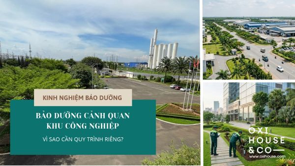 BẢO DƯỠNG CẢNH QUAN KHU CÔNG NGHIỆP: VÌ SAO CẢNH QUAN QUY MÔ LỚN CẦN MỘT QUY TRÌNH KHÁC?