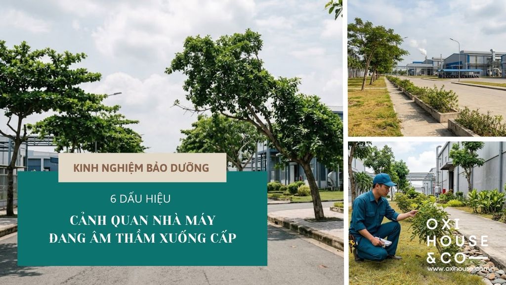 6 DẤU HIỆU CẢNH QUAN NHÀ MÁY ĐANG ÂM THẦM XUỐNG CẤP