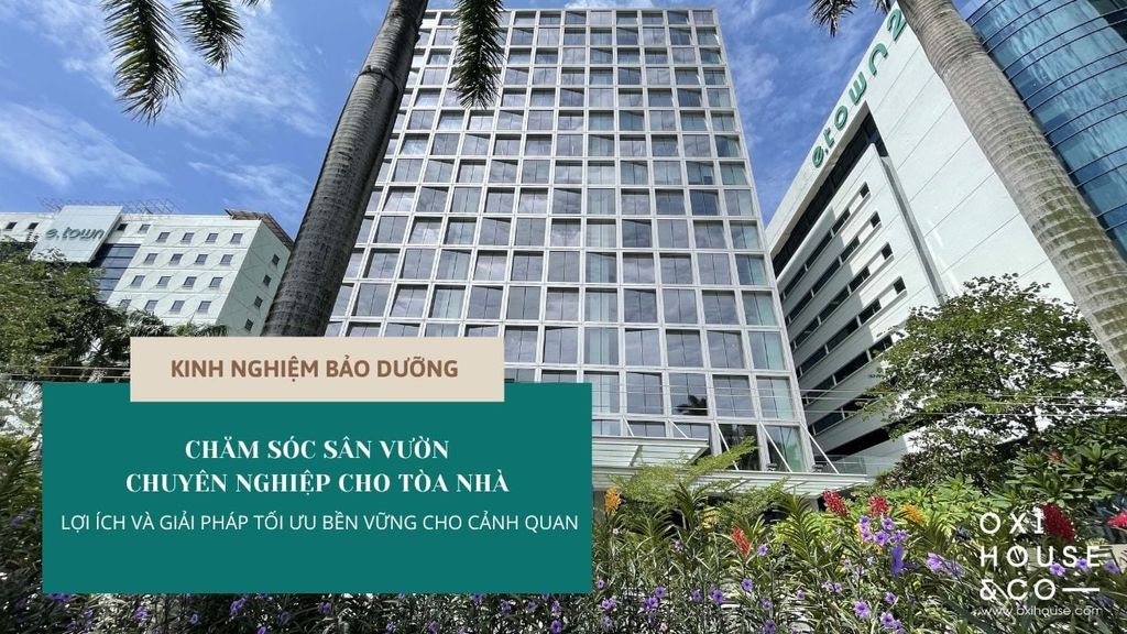 CHĂM SÓC SÂN VƯỜN TÒA NHÀ: GIẢI PHÁP CẢNH QUAN BỀN VỮNG