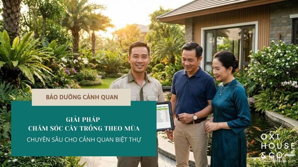 GIẢI PHÁP CHĂM SÓC CÂY TRỒNG THEO MÙA CHUYÊN SÂU CHO CẢNH QUAN BIỆT THỰ