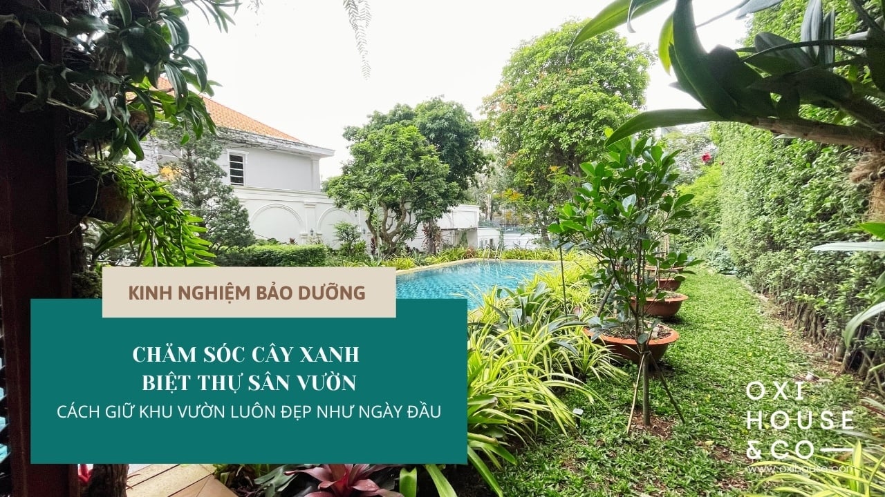 CHĂM SÓC CÂY XANH BIỆT THỰ SÂN VƯỜN: LÀM SAO GIỮ KHU VƯỜN LUÔN ĐẸP NHƯ NGÀY ĐẦU?