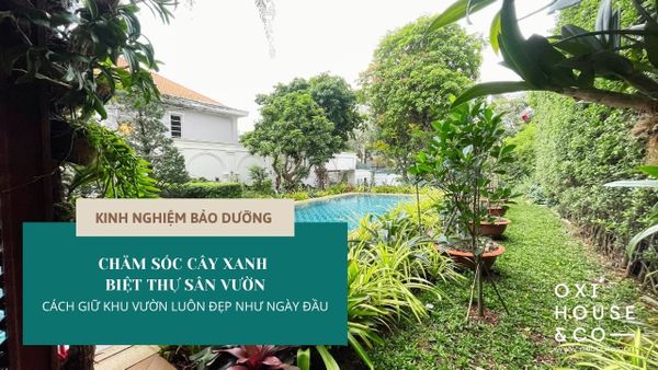 CHĂM SÓC CÂY XANH BIỆT THỰ SÂN VƯỜN: LÀM SAO GIỮ KHU VƯỜN LUÔN ĐẸP NHƯ NGÀY ĐẦU?