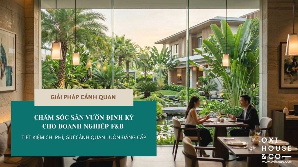 CHĂM SÓC SÂN VƯỜN ĐỊNH KỲ CHO DOANH NGHIỆP F&B – TIẾT KIỆM CHI PHÍ, GIỮ CẢNH QUAN LUÔN ĐẲNG CẤP | OXI HOUSE