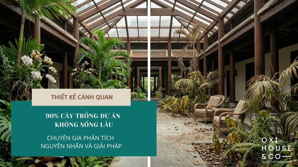 TẠI SAO 90% CÂY TRỒNG DỰ ÁN CHẾT SAU 6 THÁNG? GÓC NHÌN CHUYÊN GIA