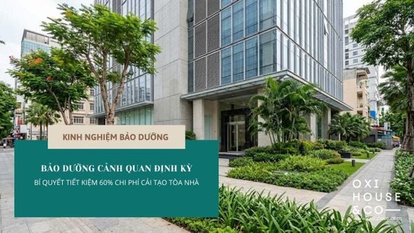 DỊCH VỤ BẢO DƯỠNG CẢNH QUAN ĐỊNH KỲ: BÍ QUYẾT TIẾT KIỆM 60% CHI PHÍ CẢI TẠO TÒA NHÀ