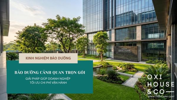 DỊCH VỤ BẢO DƯỠNG CẢNH QUAN TRỌN GÓI: GIẢI PHÁP GIÚP DOANH NGHIỆP TỐI ƯU CHI PHÍ VẬN HÀNH