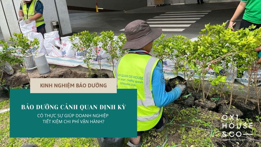 BẢO DƯỠNG CẢNH QUAN ĐỊNH KỲ CÓ THỰC SỰ GIÚP DOANH NGHIỆP TIẾT KIỆM CHI PHÍ VẬN HÀNH?