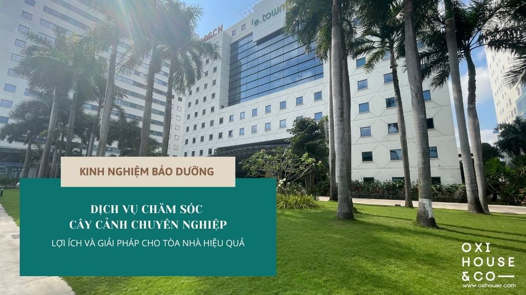VÌ SAO TÒA NHÀ KHÔNG THỂ THIẾU DỊCH VỤ CHĂM SÓC CÂY CẢNH CHUYÊN NGHIỆP?